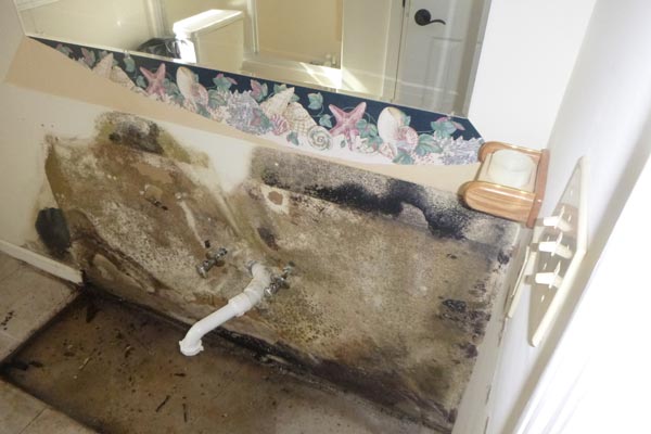 mold damage