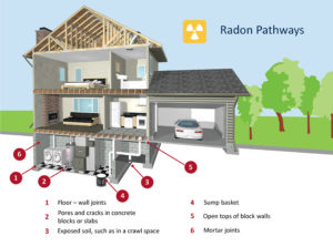 radon pathways