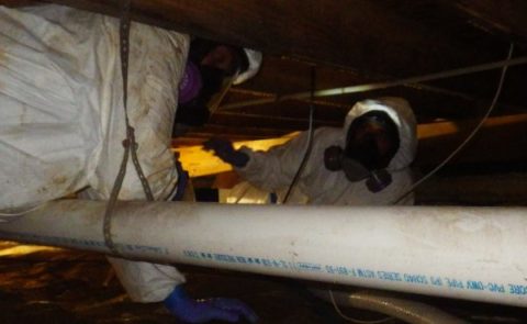 Crawl Space Mold Removal Services Toledo OH Sandusky OH