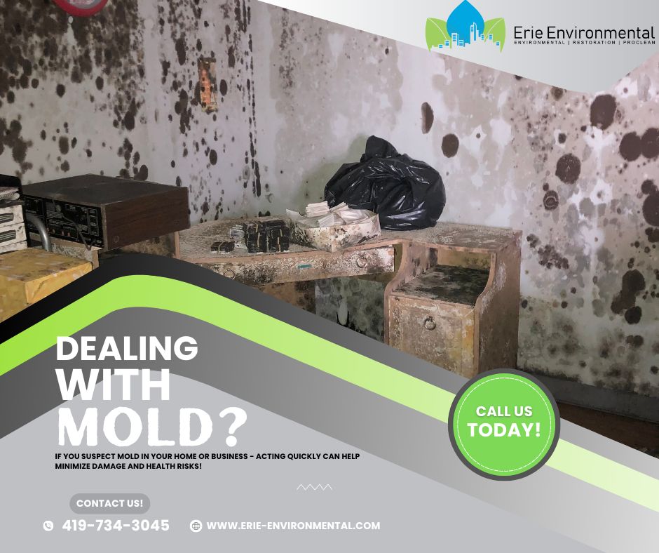 Mold (2) Mold